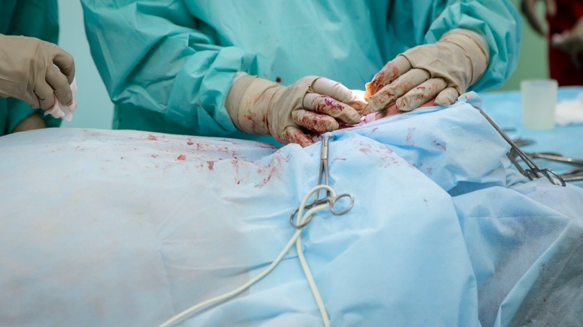 Médicos británicos logran el primer trasplante exitoso de útero de donante vivo(Olga Kononenko/unsplash)