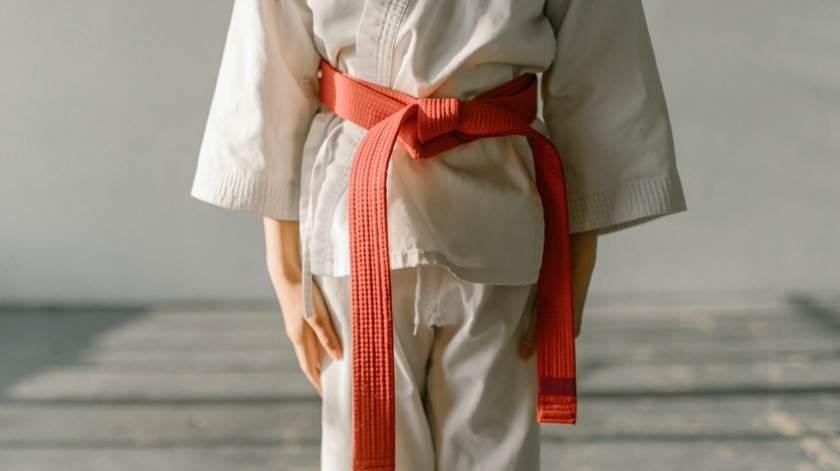 Aprende a defender tu cuerpo y tu mente con el poder del taekwondo(RDNE Stock project/PEXELS)
