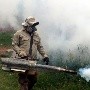 República Dominicana en riesgo de gran brote de dengue