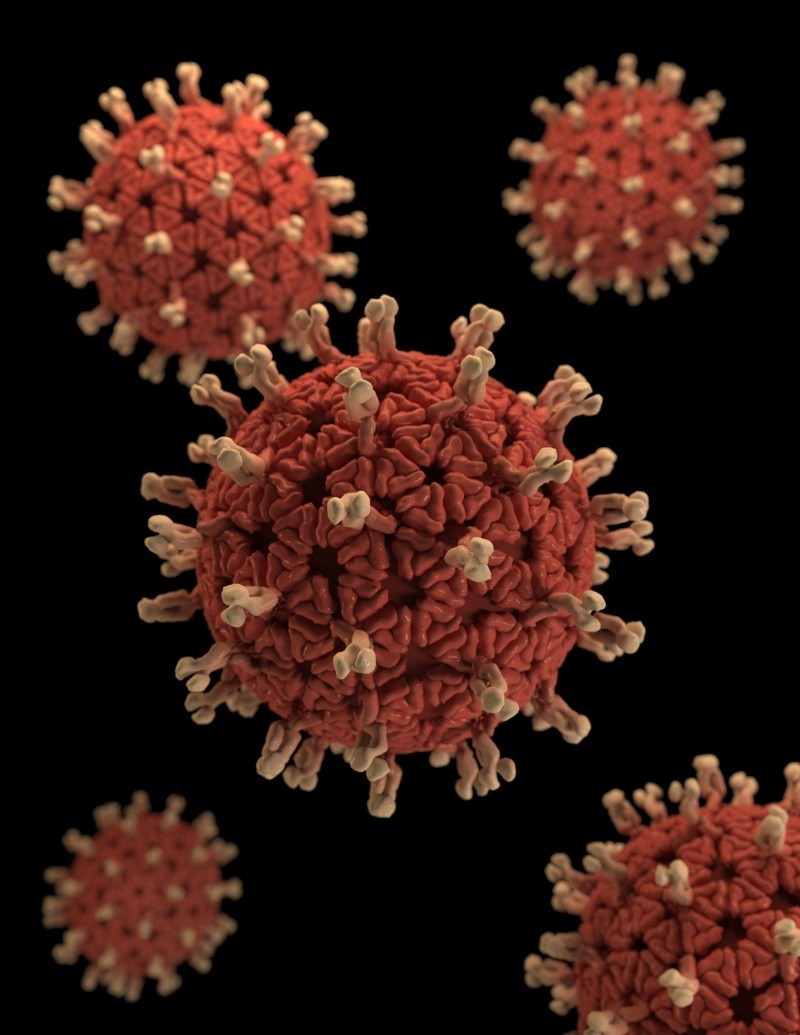 Se trata de un virus zoonótico, es decir, un virus que se puede transmitir de animales a personas. FOTO: CDC