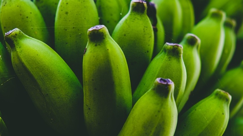 Incorporar plátanos poco maduros a tu alimentación puede ser una estrategia saludable(Daniele Franchi/unsplash)
