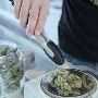 Estudiantes de kinder podrían consumir cannabis en escuelas de Michigan bajo nueva propuesta de ley