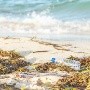 Playas en México con altos niveles de bacterias según Cofepris