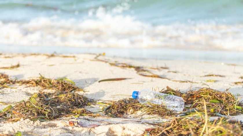 Cofepris hace un llamado a la población para mantener la limpieza de las playas(Maria Kray/PEXELS)