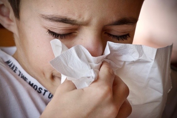 Desde síntomas como estornudos, ojos llorosos o  sibilancias, hasta asma puede ocasionar una alegría a las cucarachas.