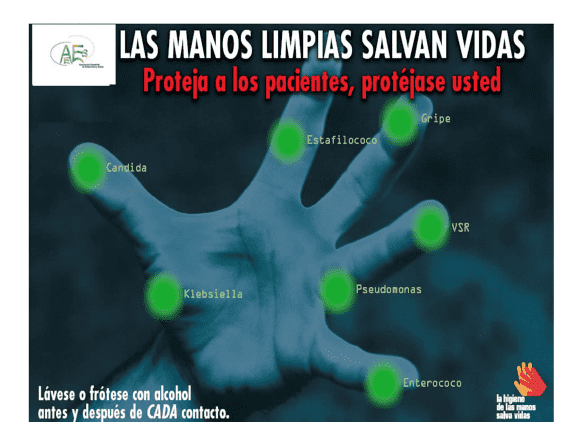  Estos son algunos de los patógenos que pueden encontrarse en las manos. Foto: Biblioteca Virtual de Salud de Honduras. 